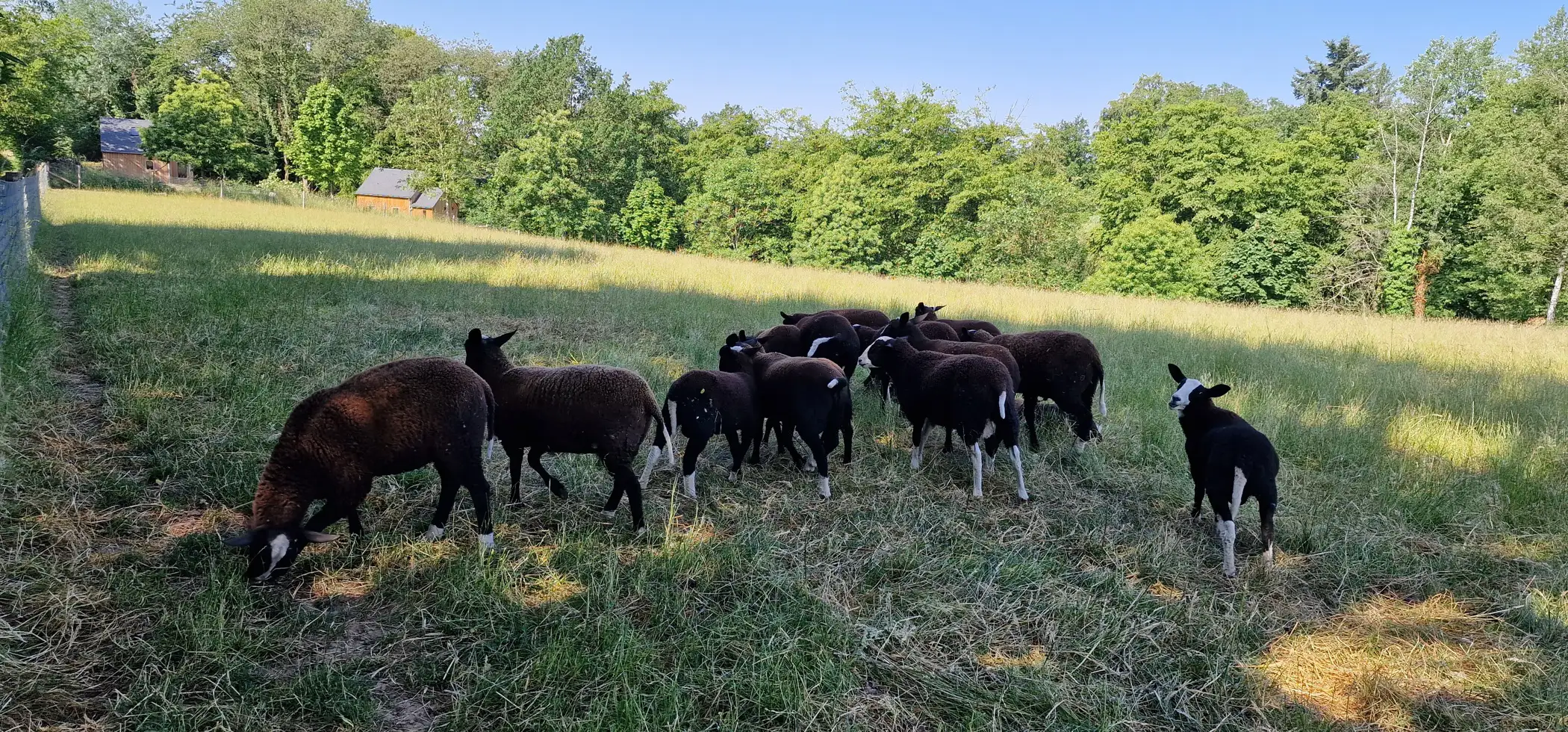 Cottage for 2 people in Gesves Les Cabanes des Pierreux : Ralf